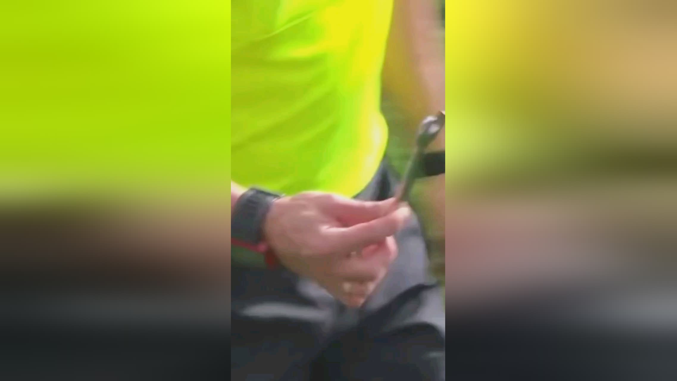的意大利足